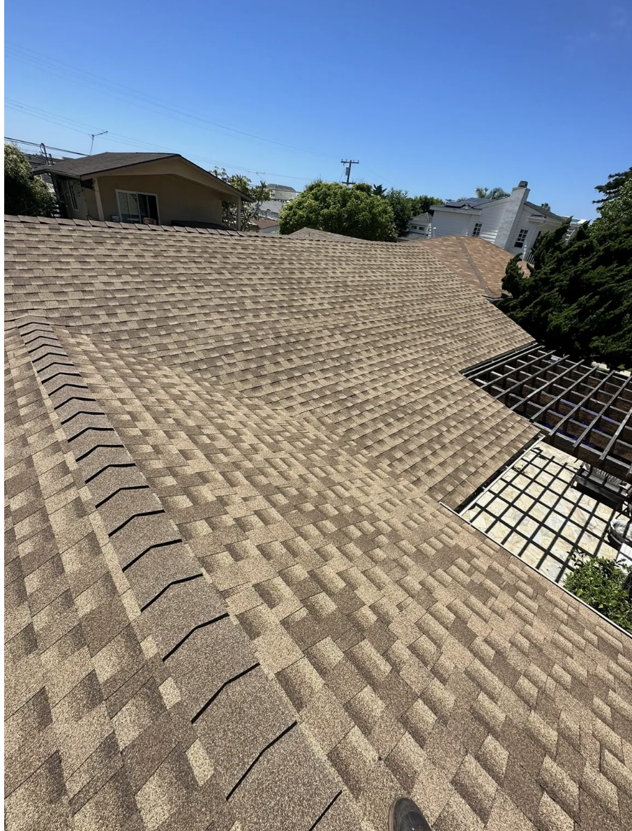 Shingle roof project